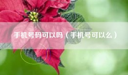 手机号码可以吗（手机号可以么）