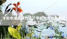 手机电池修复方法（手机电池修复方法合集）