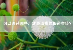 可以通过哪些方式邀请媒体报道宣传？
