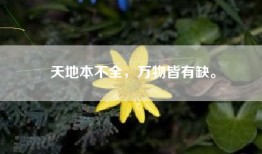天地本不全，万物皆有缺。