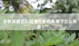 手机灰屏怎么回事（手机灰屏了怎么恢复）