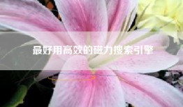 最好用高效的磁力搜索引擎