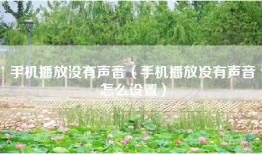 手机播放没有声音（手机播放没有声音怎么设置）