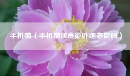 手机猫（手机猫叫声能吓跑老鼠吗）