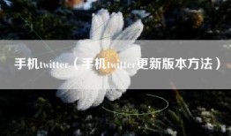 手机twitter（手机twitter更新版本方法）