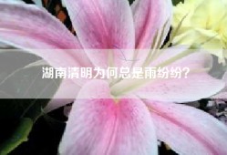 湖南清明为何总是雨纷纷？