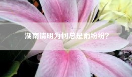 湖南清明为何总是雨纷纷？