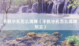 手机小孔怎么清理（手机小孔怎么清理灰尘）