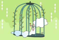 摄影专业就业前景怎么样 就业方向有什么
