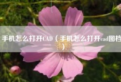 手机怎么打开CAD（手机怎么打开cad图档）