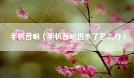 手机音响（手机音响进水了怎么办）