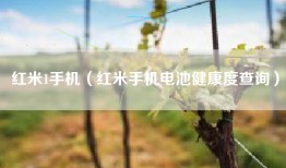 红米1手机（红米手机电池健康度查询）