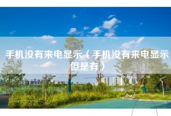 手机没有来电显示（手机没有来电显示但是有）