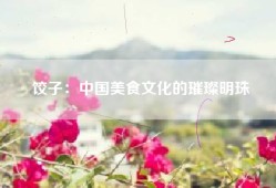 饺子：中国美食文化的璀璨明珠