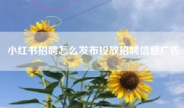 小红书招聘怎么发布投放招聘信息广告