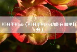 打开手机nfc（打开手机NFc功能在哪里打开）