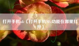 打开手机nfc（打开手机NFc功能在哪里打开）