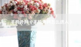 手机外网（手机外网怎么进入）