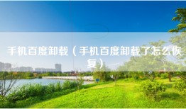 手机百度卸载（手机百度卸载了怎么恢复）