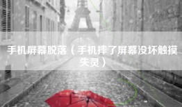 手机屏幕脱落（手机摔了屏幕没坏触摸失灵）