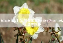 insights 磁力_安装和配置Decision Server Insights参考拓扑