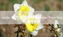 insights 磁力_安装和配置Decision Server Insights参考拓扑