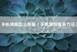 手机烧屏怎么恢复（手机烧屏恢复方法）