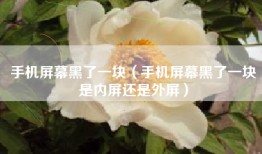 手机屏幕黑了一块(手机屏幕黑了一块是内屏还是外屏)