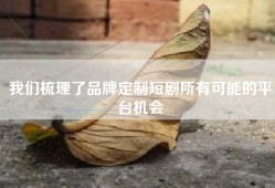 我们梳理了品牌定制短剧所有可能的平台机会