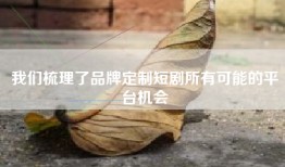 我们梳理了品牌定制短剧所有可能的平台机会
