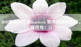 HSP律师所代理Bearbrick 积木熊商标发案，案件号：24