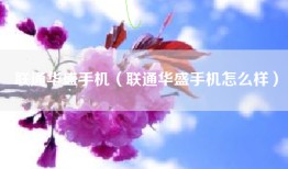 联通华盛手机（联通华盛手机怎么样）