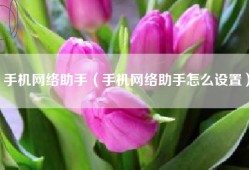 手机网络助手（手机网络助手怎么设置）