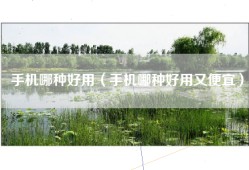 手机哪种好用（手机哪种好用又便宜）