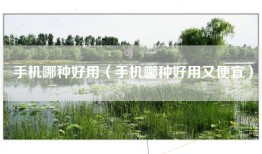 手机哪种好用（手机哪种好用又便宜）
