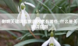 影响关键词指数的因素有哪些_什么是关键词指数