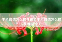 手机微信怎么换头像（手机微信怎么换头像图片）