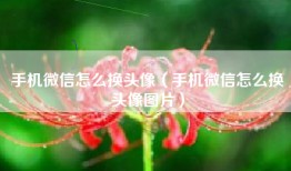 手机微信怎么换头像(手机微信怎么换头像图片)