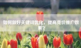 如何做好关键词优化，提高竞价推广效果？