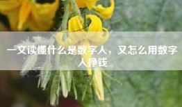 一文读懂什么是数字人，又怎么用数字人挣钱