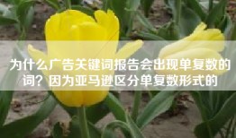为什么广告关键词报告会出现单复数的词？因为亚马逊区分单复数形式的