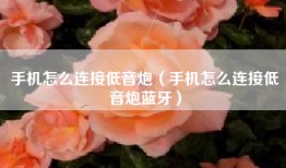 手机怎么连接低音炮(手机怎么连接低音炮蓝牙)