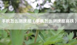 手机怎么测速度（手机怎么测速度高铁）