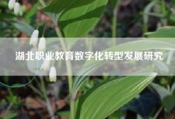 湖北职业教育数字化转型发展研究