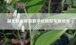 湖北职业教育数字化转型发展研究