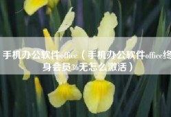 手机办公软件office（手机办公软件office终身会员36无怎么激活）