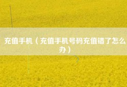 充值手机（充值手机号码充值错了怎么办）