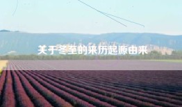 关于冬至的来历起源由来