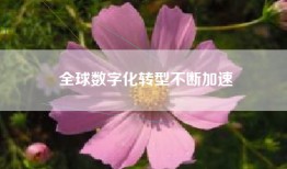 全球数字化转型不断加速