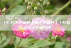 手机系统更新好还是不更新好（手机怎么设置不更新系统）